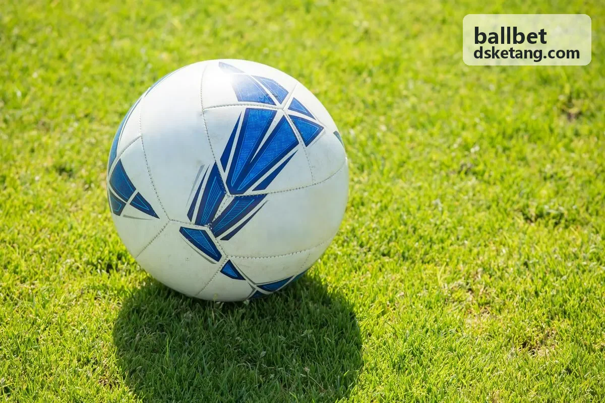 ballbet 风险模型可视化